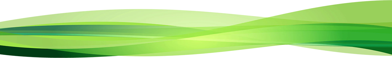 fv_shape